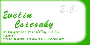 evelin csicsaky business card